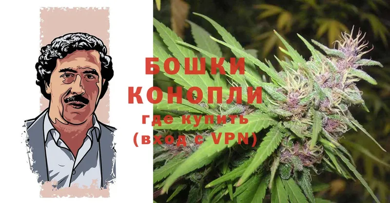 где продают   Жуковский  Конопля конопля 